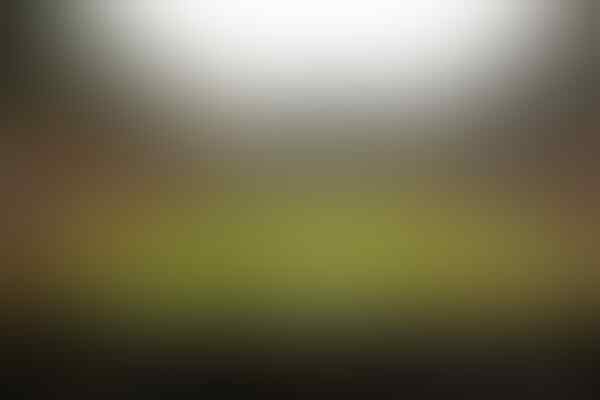 #Rusia2018: Inilah 12 Stadion Tempat Digelarnya Piala Dunia