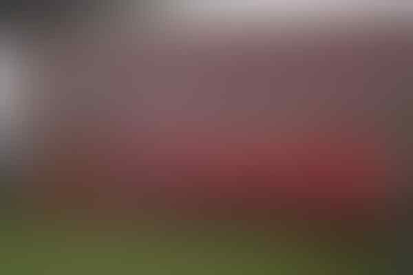 #Rusia2018: Profil Peserta Grup E