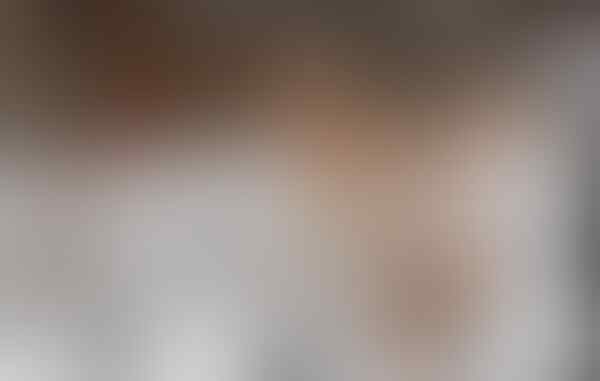#Rusia2018: Profil Peserta Grup F