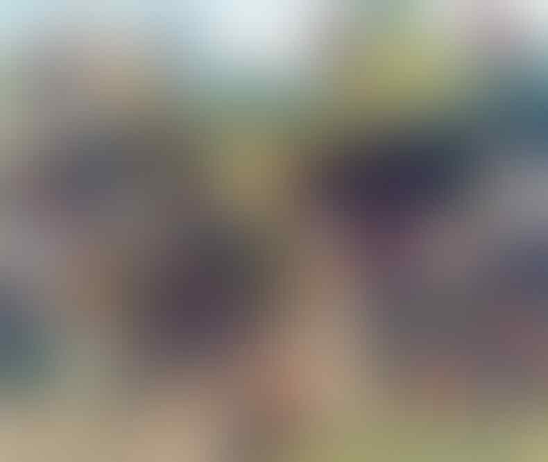 Longbowman Dan Perannya Dalam Perang 100 Tahun