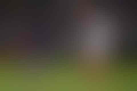 Banyak Yang Tak Percaya??padahal Ini 5 Kelakuan Lionel Messi Di Lapangan!!