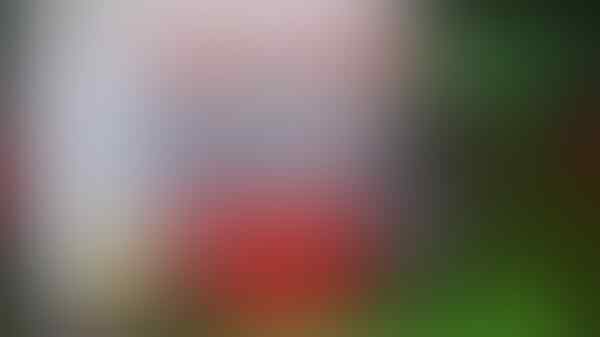 Rame! Yuk Intip Belasan Ribu Orang Ikut Mudik Gratis Sido Muncul Gan