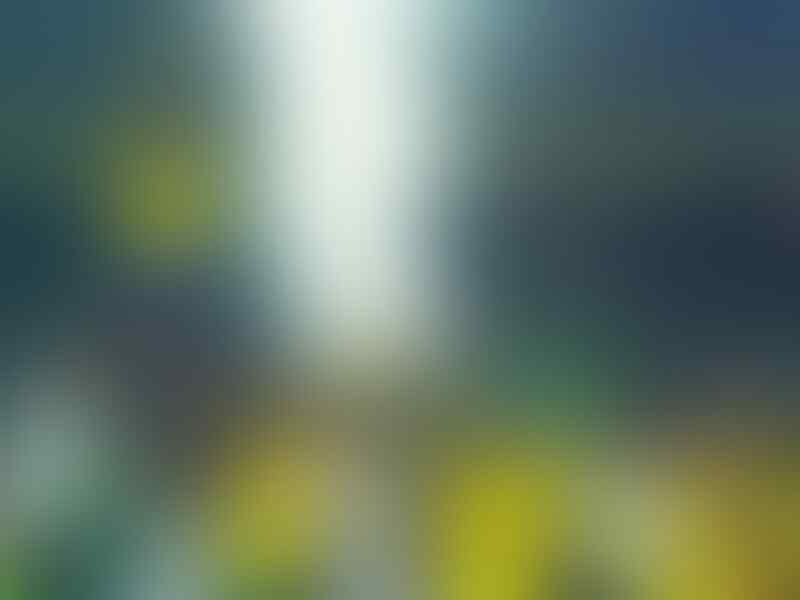 Cafu dan 3 Final Piala Dunia Beruntun
