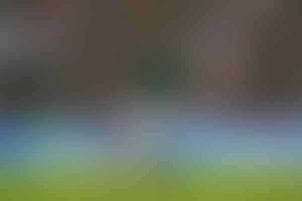 #Rusia2018: Sederet Rekor Unik di Piala Dunia