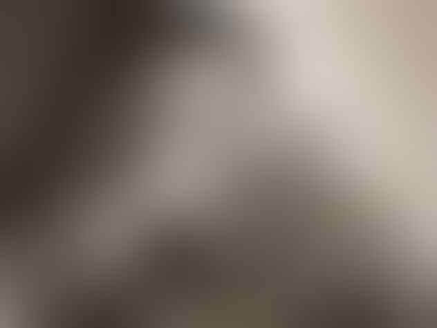 Pembunuh Berantai Berdarah Dingin Dengan IQ Diatas Rata-Rata