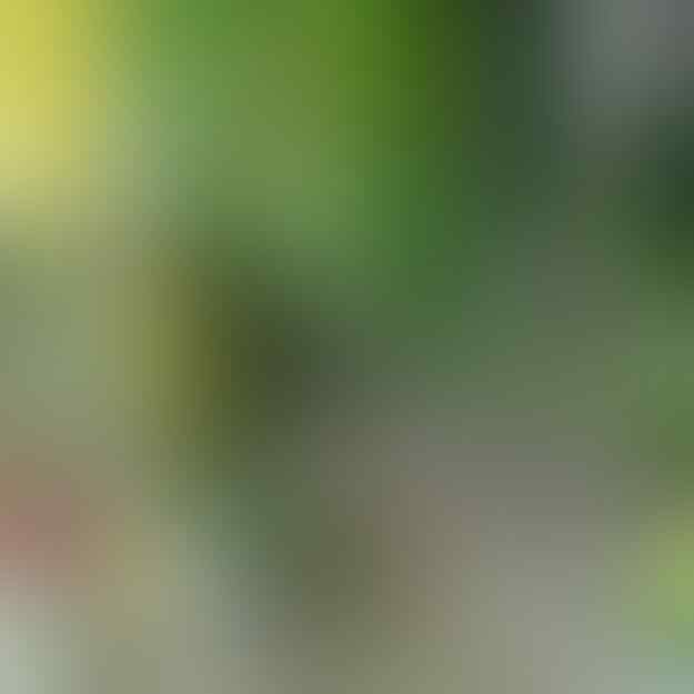 Cara Maksimalkan Lahan Sempit Dengan Taman Minimalis nan Cantik!!