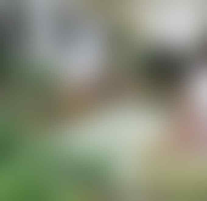 Cara Maksimalkan Lahan Sempit Dengan Taman Minimalis nan Cantik!!