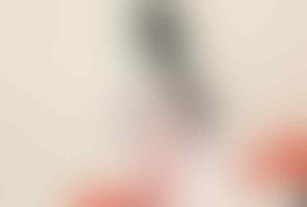 Sering Dianggap Prostitusi, Beginilah Fakta Unik Geisha Sebenarnya !