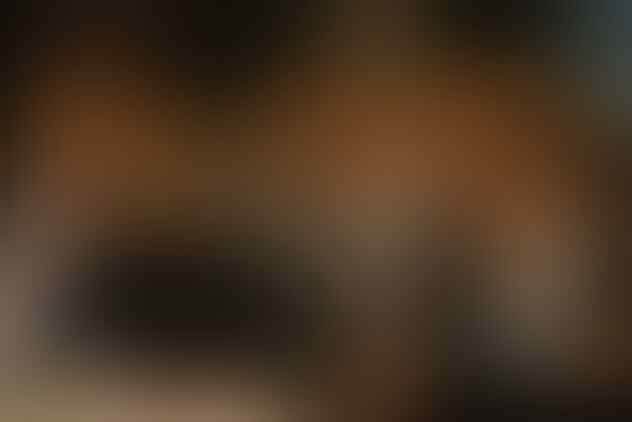 Sering Dianggap Prostitusi, Beginilah Fakta Unik Geisha Sebenarnya !