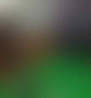 Asiknya Streaming Final Piala Dunia 2018 Ditemani Cewe Cantik!