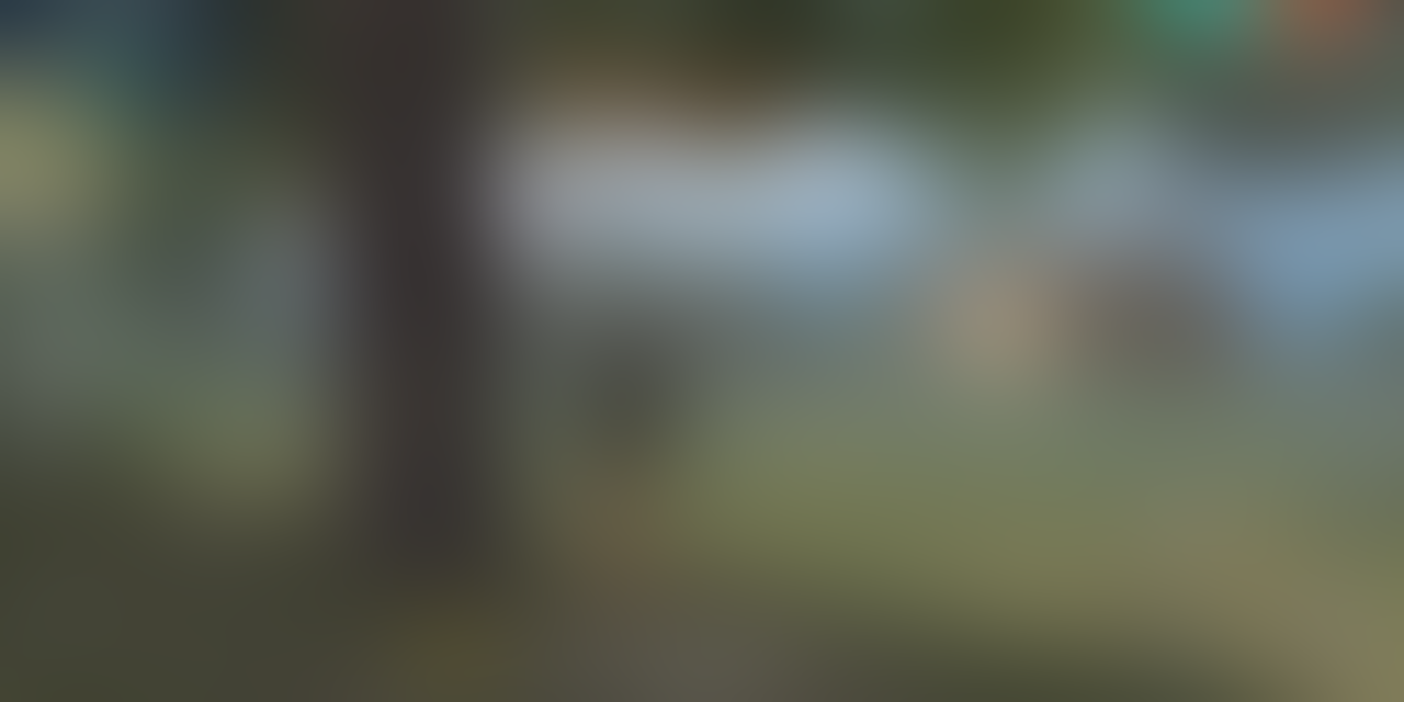5 Tips & Trick Anti Mainstream Untuk Booyah Solo Free Fire