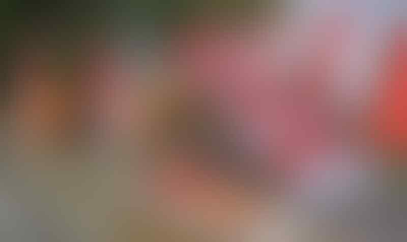 #IniIndonesiaku Hal-Hal Ini Menandakan Telah Masuk Bulan Agustus di Indonesia
