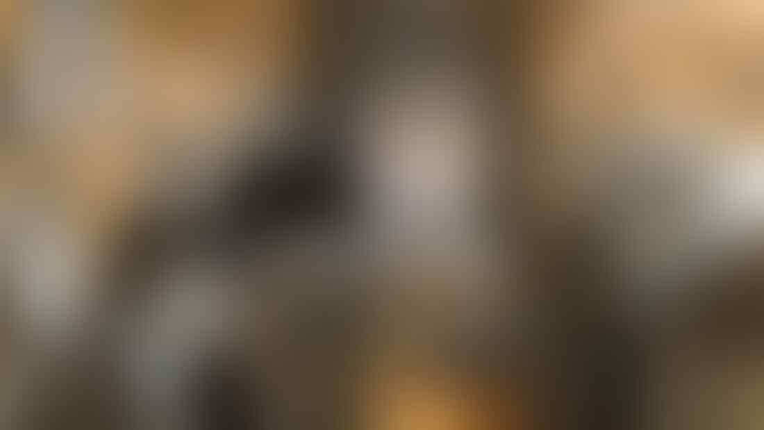 7 Hal Yang Dibenci Kucing Dari Majikannya, Pecinta Kucing Masuk!