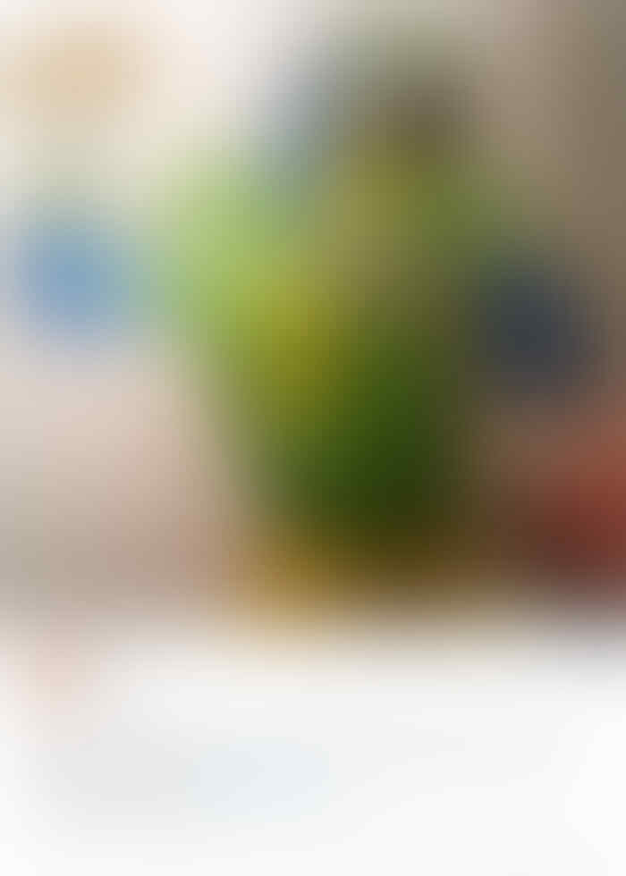 #WhyISingle, alasan kenapa banyak jones berkeliaran diluar sana. Ngakak bre ini.