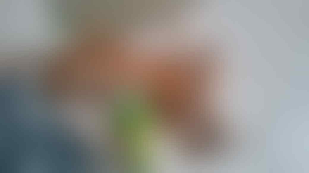 7 Hal Yang Dibenci Kucing Dari Majikannya, Pecinta Kucing Masuk!