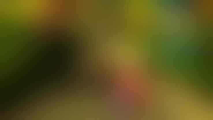 Top 5 Easter Egg Terkocak Versi Ane