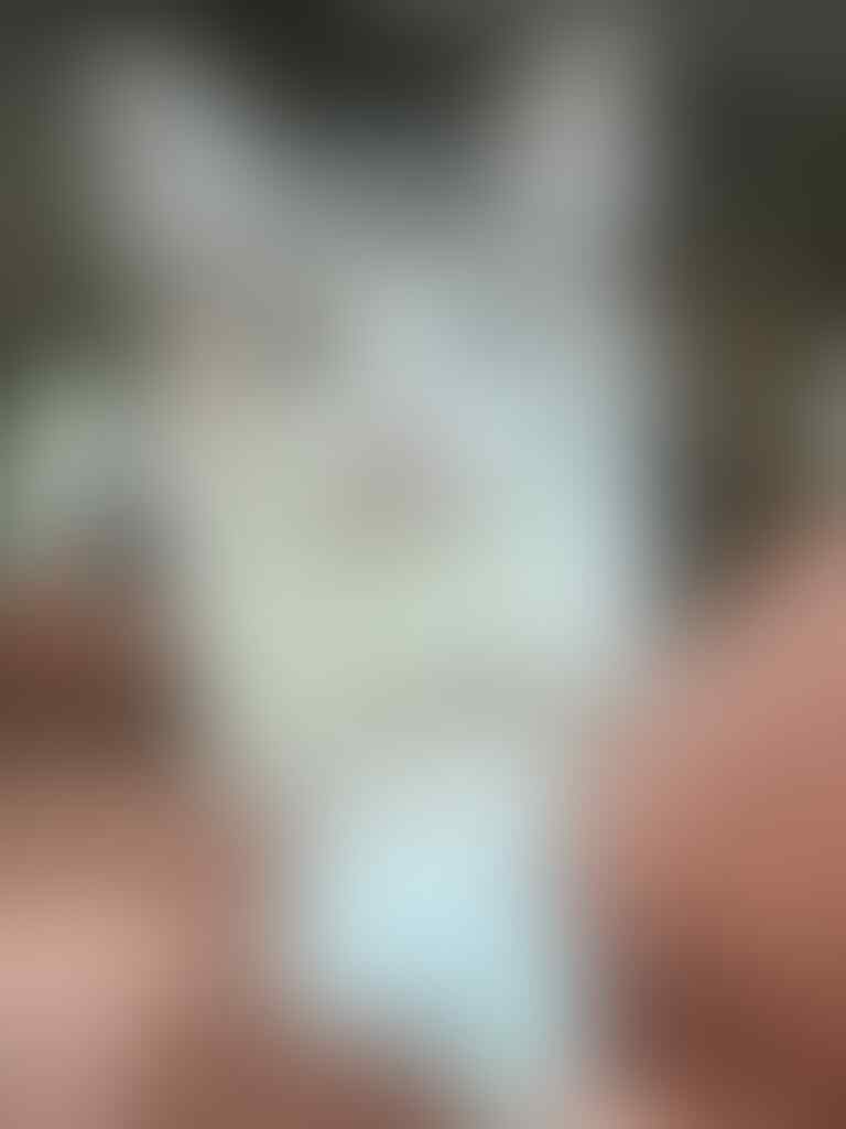 7 Hal Yang Dibenci Kucing Dari Majikannya, Pecinta Kucing Masuk!