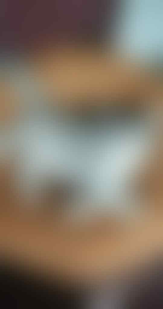 7 Hal Yang Dibenci Kucing Dari Majikannya, Pecinta Kucing Masuk!