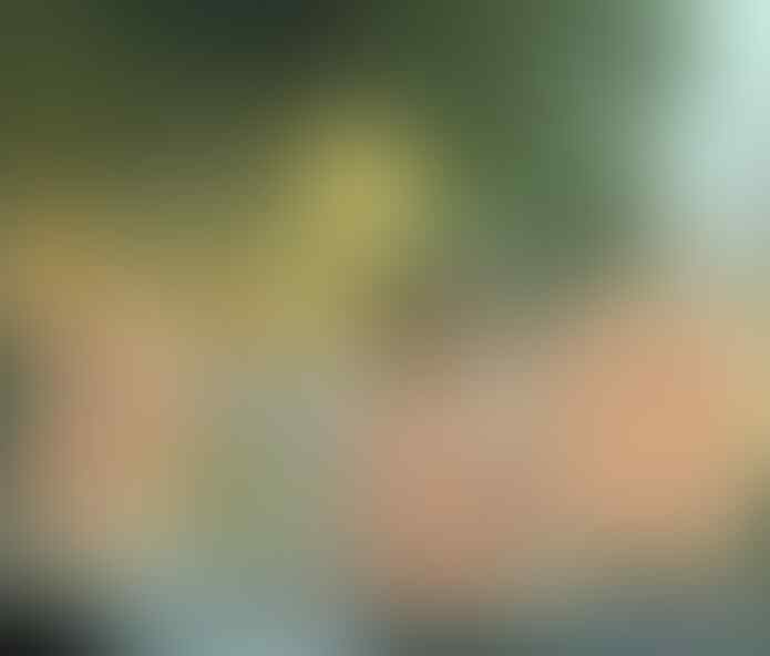 kaskus-image