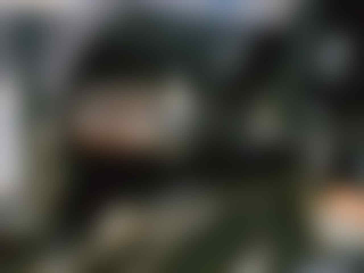 kaskus-image