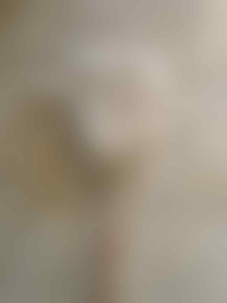 Help!! Ada yang tau industri alat pel kayak di gambar?