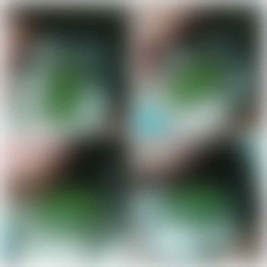 Lelang singkat sampai nanti malam 20-10-2018 22.00