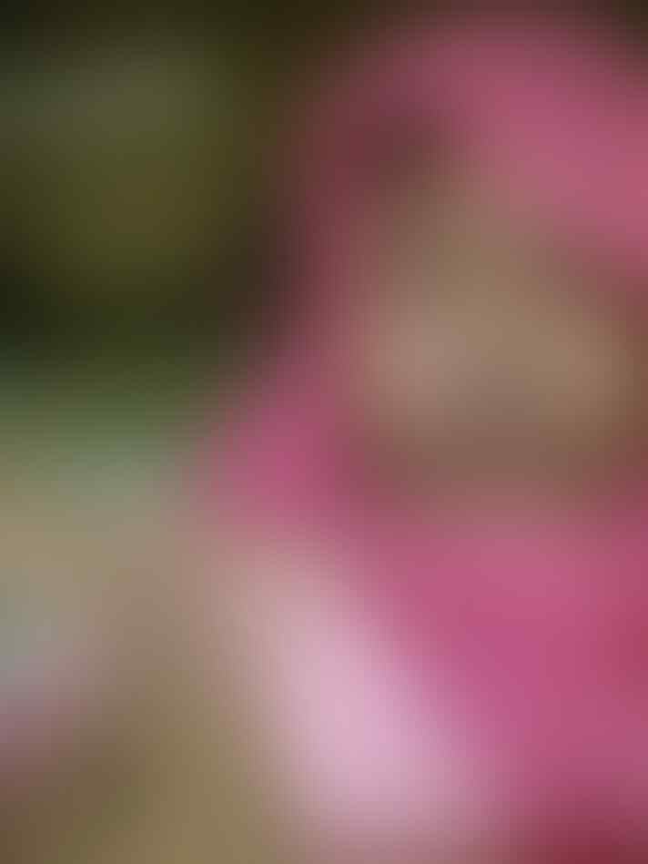 kendat ++ video