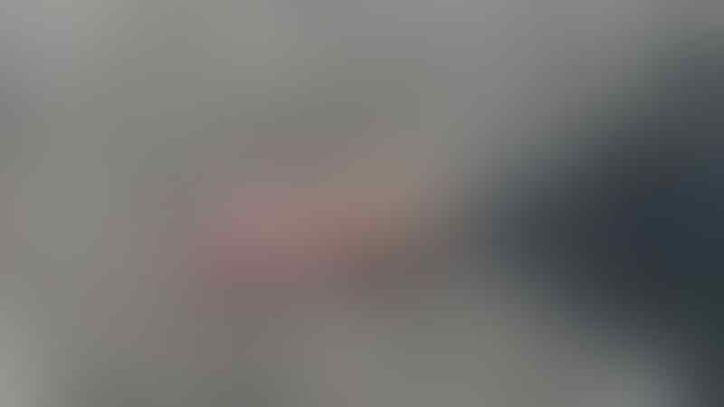 ulo wesi dowo