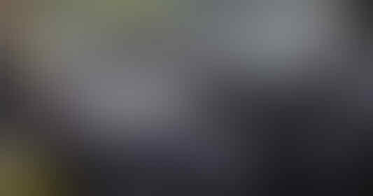 Upgrade Printilan ANR 2018 TRD Sportivo Kesayangan Kami, Gimana Kamu