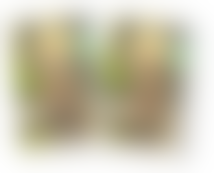 &#91;Android/iOS/PC&#93; World of Dragon Nest 