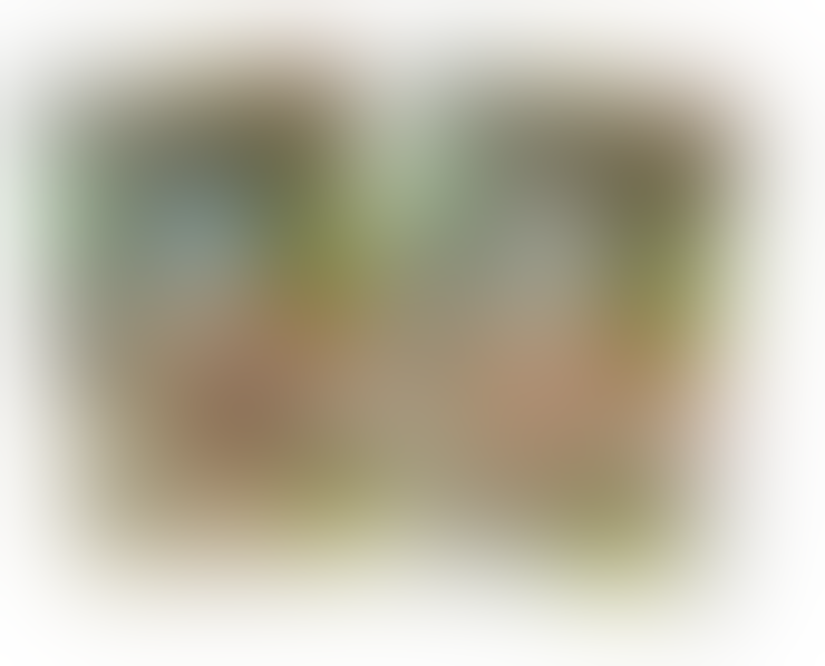 &#91;Android/iOS/PC&#93; World of Dragon Nest 