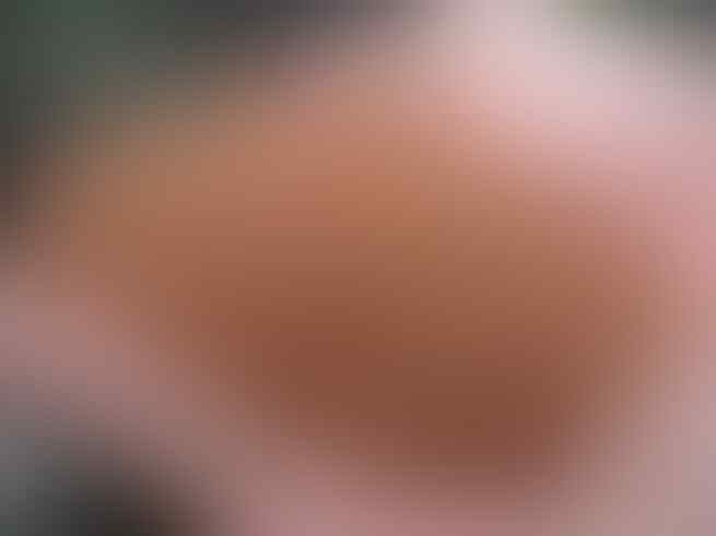 Jual Beras Merah Kualitas Super - Grosir - PT. Karya Baru Indonesia