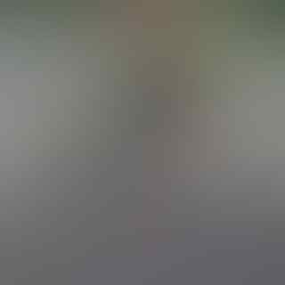 Ini dia OST Mudik 2019!