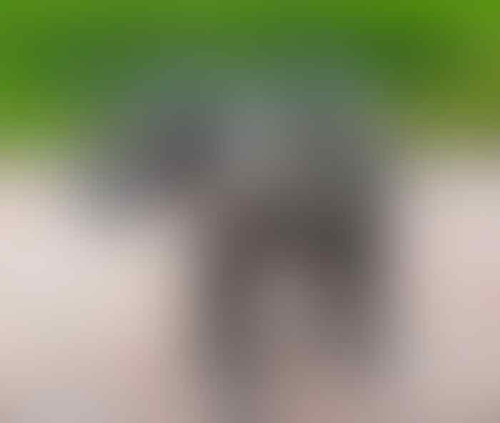 Unik! Bukan Dibuang, Brian Mock Memanfaatkan Rongsokan Untuk Hasilkan Patung Keren!