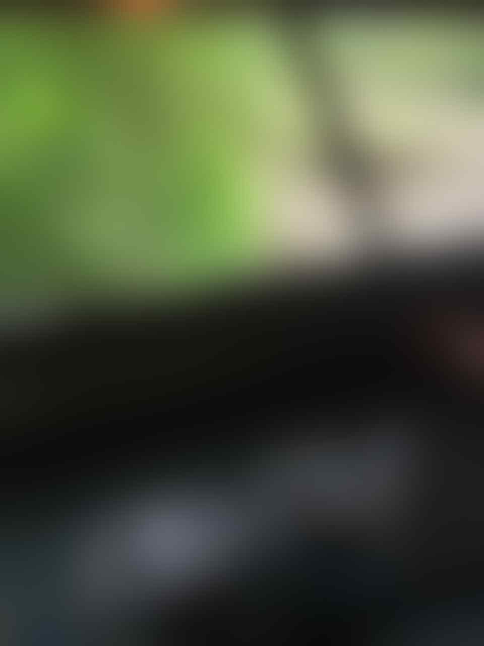 kaskus-image
