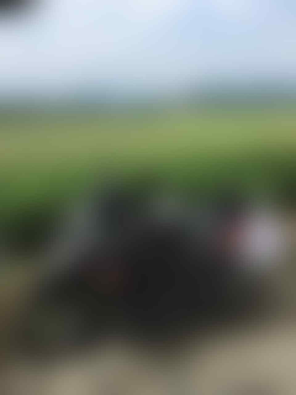kaskus-image