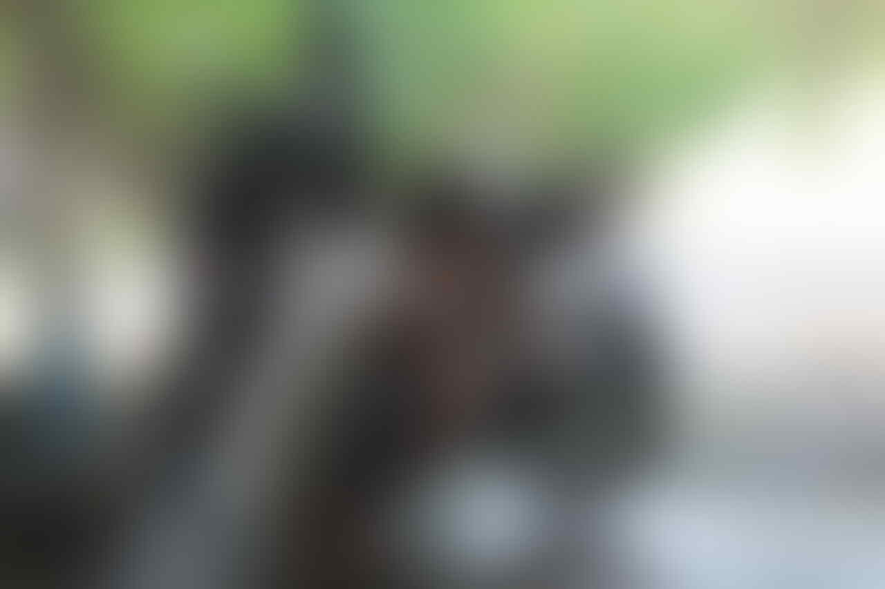 kaskus-image