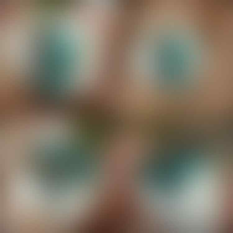 LELANG #418= 30pcs SINGKAT! CLOSE MINGGU 03/05 @22:12