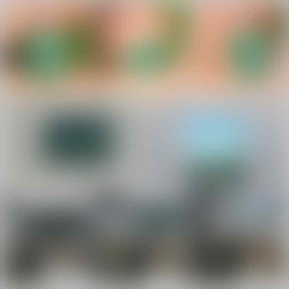 Lelang Spesial Edisi Gajian, sampai Minggu 28/06 jam 21.00 WIK