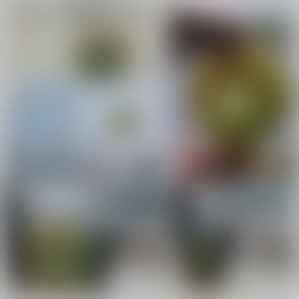 Lelang Spesial Edisi Gajian, sampai Minggu 28/06 jam 21.00 WIK