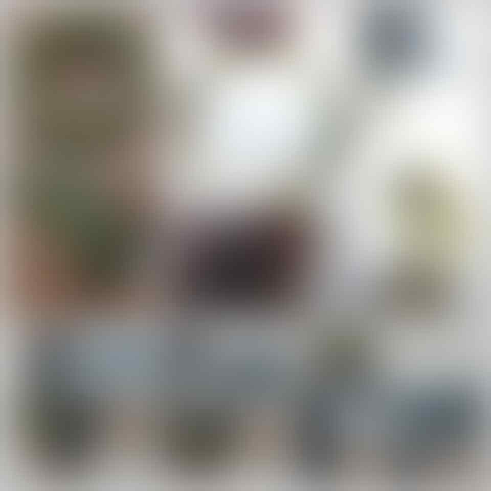 Lelang Spesial Edisi Gajian, sampai Minggu 28/06 jam 21.00 WIK