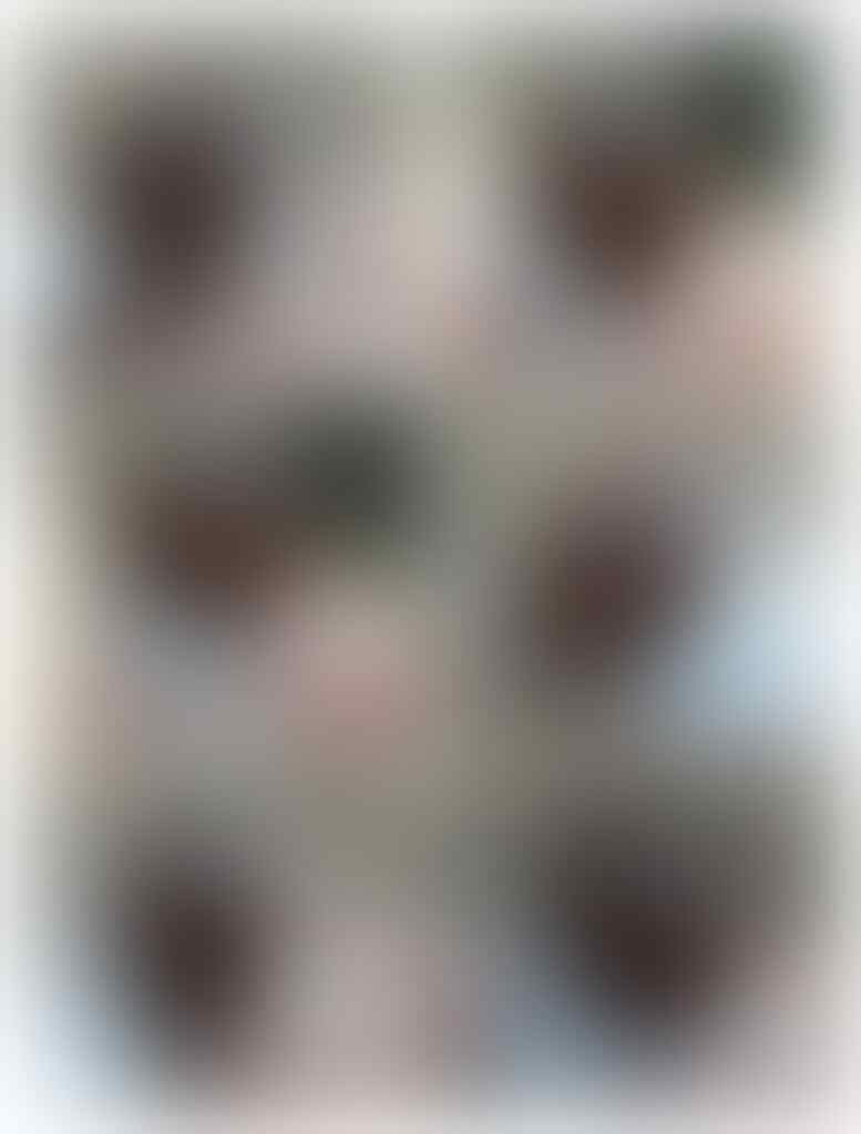 LELANG KILAT PAKET ISI 2 CLOSED 19.00 TGL 11 AGUSTUS 2020