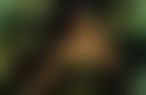 HITAM