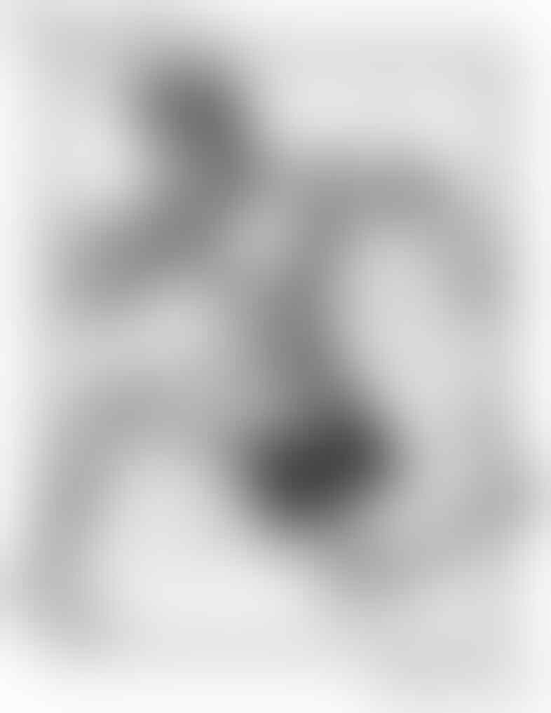 Abarimon, Makhluk Humanoid Dengan Telapak Kaki Terbalik!