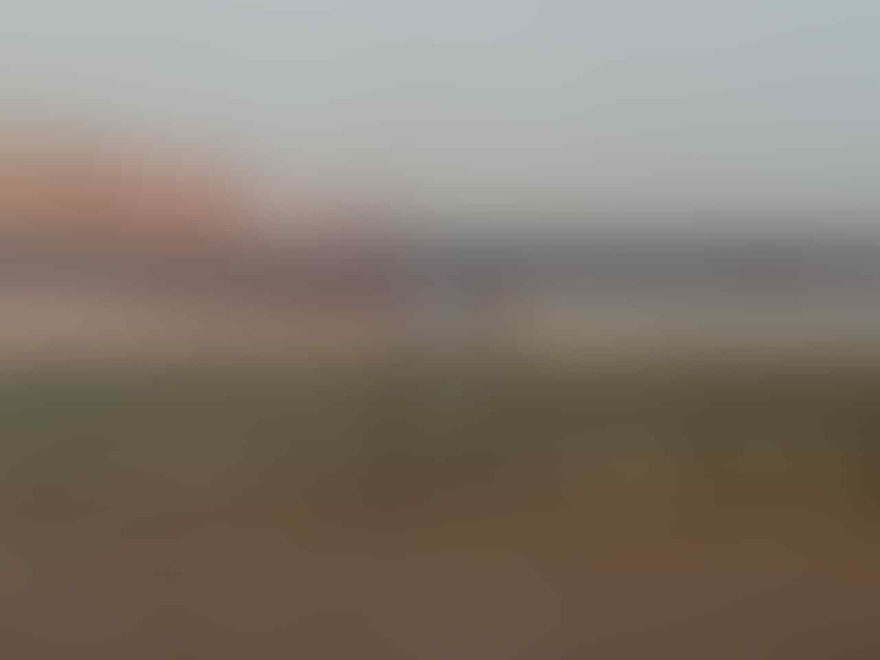 kaskus-image