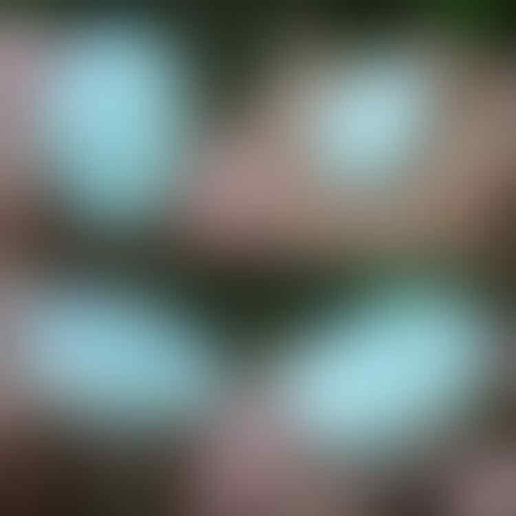 LELANG #524 = 41pcs SINGKAT!! CLOSE SABTU 03/07 @22:12