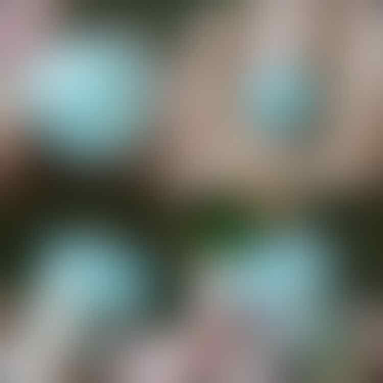 LELANG #524 = 41pcs SINGKAT!! CLOSE SABTU 03/07 @22:12
