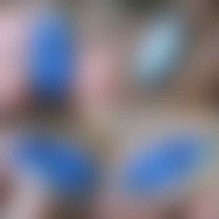 LELANG #528 = 41pcs SINGKAT!! CLOSE MINGGU 18/07 @22:12