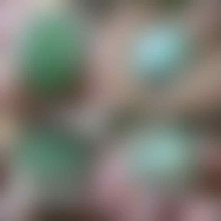 LELANG #528 = 41pcs SINGKAT!! CLOSE MINGGU 18/07 @22:12