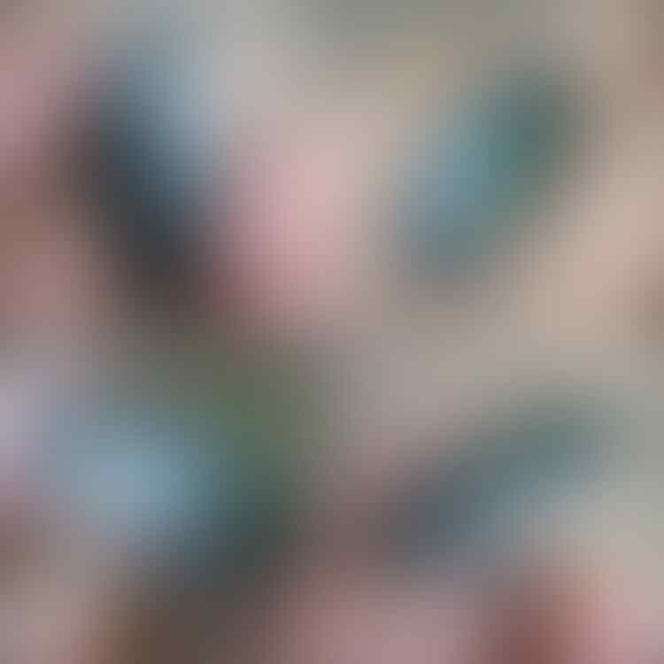 LELANG #528 = 41pcs SINGKAT!! CLOSE MINGGU 18/07 @22:12